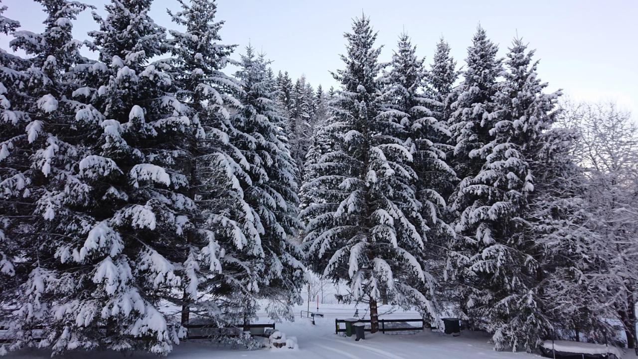 Am Kaltenbach - Spital Am Semmering, Stuhleck Exteriér fotografie