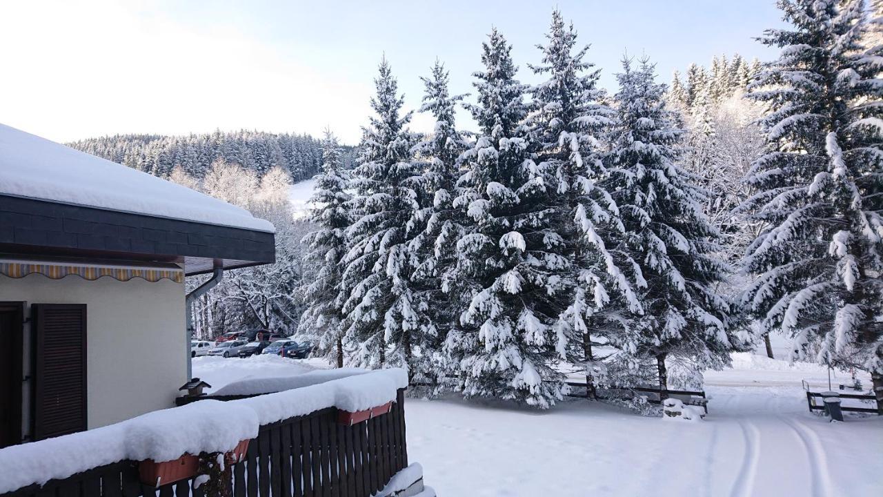 Am Kaltenbach - Spital Am Semmering, Stuhleck Exteriér fotografie