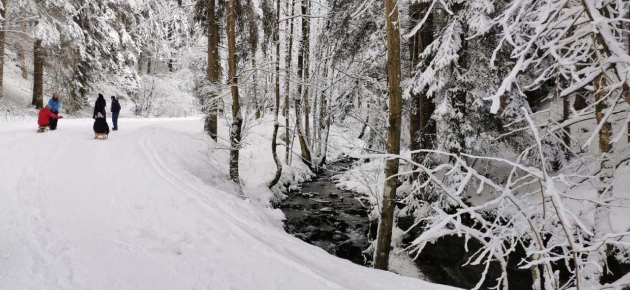 Am Kaltenbach - Spital Am Semmering, Stuhleck Exteriér fotografie