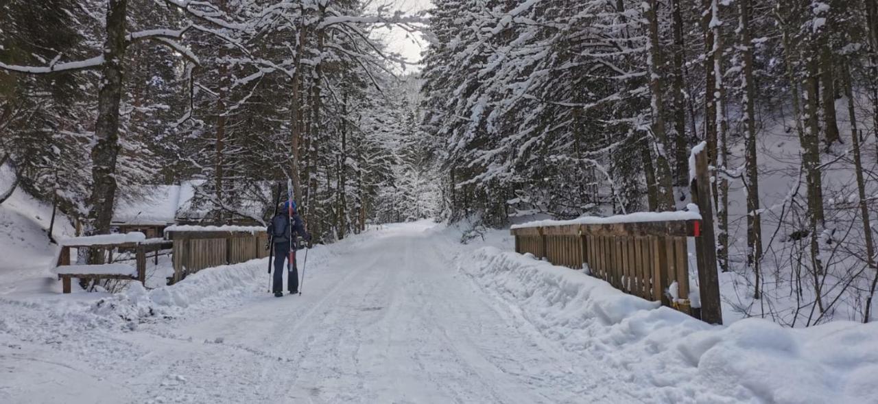 Am Kaltenbach - Spital Am Semmering, Stuhleck Exteriér fotografie